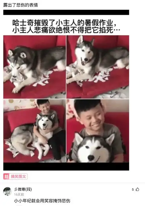 沙雕可爱头像哈士奇