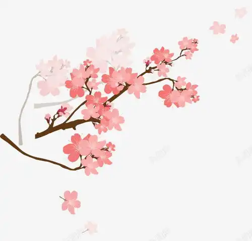 樱花花枝创意素材手绘樱花素材