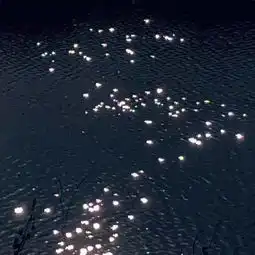 蓝色系背景男头像双鱼座