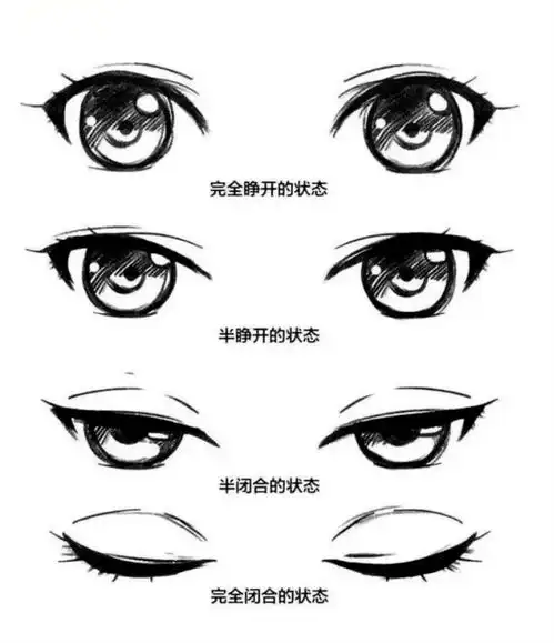 万转眼睛素材超全超详细各种眼睛画法
