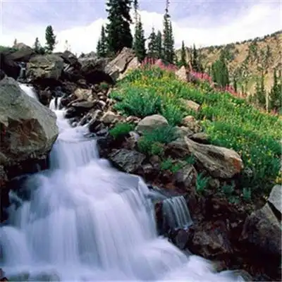 uedbet官网贝蒂斯