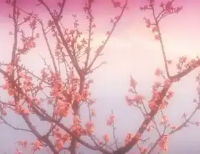 风水旺桃花哪种方式是最有效的