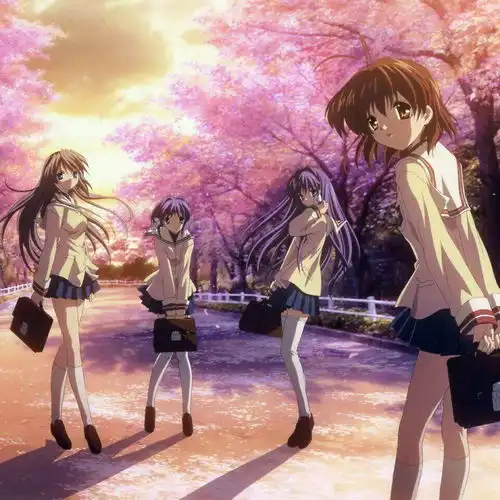 只有日常才更能温暖人心为什么日常番更能带来感动