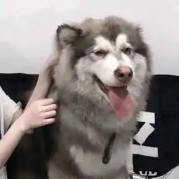 一批超个性好看的微信头像