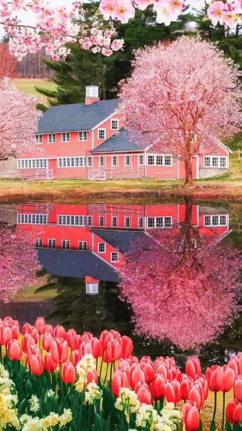 治愈系迷人风光