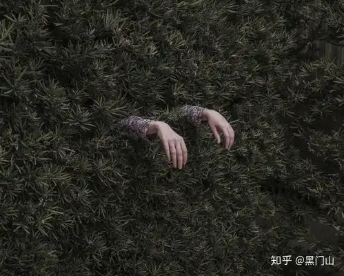 写小说如何做到行文流畅