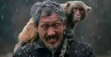 他们和猴吃一锅饭,睡一张床,做一辈子的伴