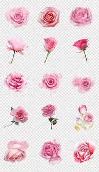 卡通手绘可爱猫咪水彩清新猫喵星人背景png免抠素材图片模板下载21.78mb动物大全自然