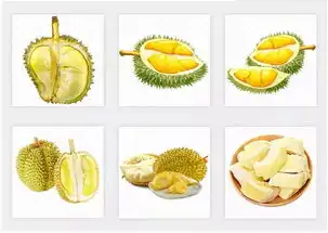 这是一条有味道的文章