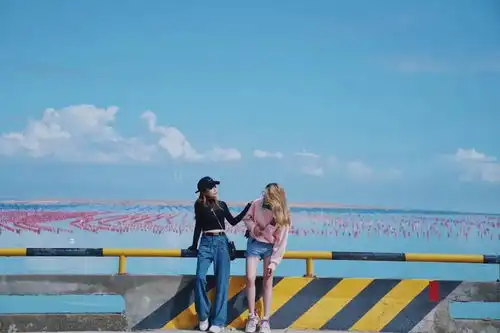 这个堪称冬日秘境的小岛,风车灯塔美如宫崎骏漫画