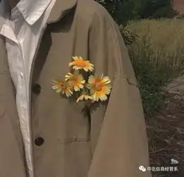 宣宣电台愿你有明天可奔赴,有过往可回头