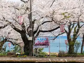一生一定要去一次,新海诚动画般的日本绝美海边车站圣地