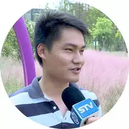 网红粉黛乱子草现虹口少女心的粉色田野