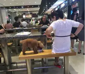 大连商场内,一对男女用公共餐具喂狗喝奶茶看完视频,网友炸了