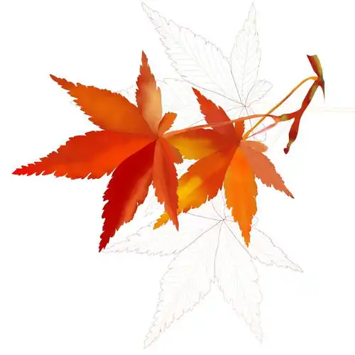 战斗民族只有彪悍那你一定没来过莫斯科