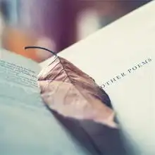 微信头像图片禅系头像大