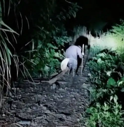 8岁女孩学狼叫,和58岁未婚养父独居深山,理想是当一名老师