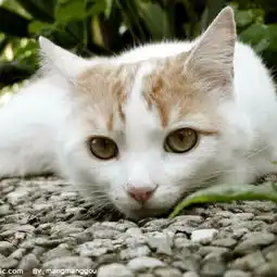 这位网友,能不能帮我找着这个人