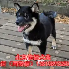 济南经四路如家酒店