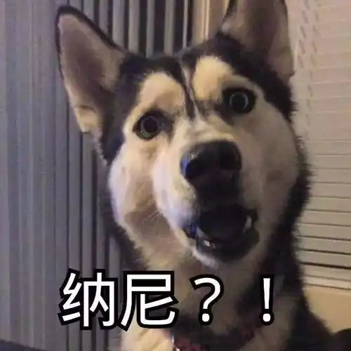 对不起在沙雕网文面前我不争气的笑成了发动机哈哈...