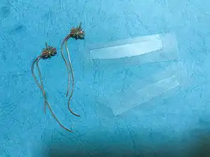 竹盐喜马拉雅粉盐莹白派缤牙膏系列,少女心爆棚