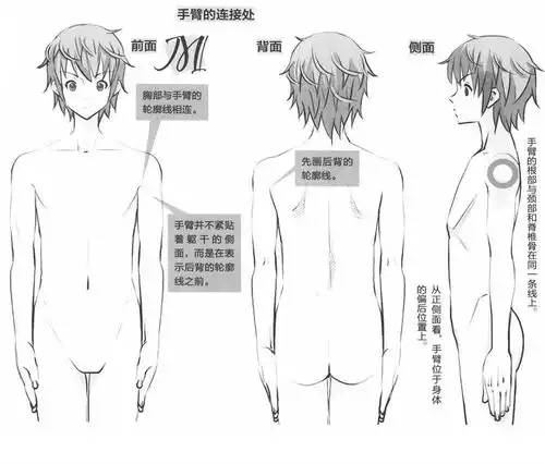 动漫人物头像画法教程手