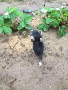 昨晚遇到萌鬼打墙什么身高男人爱出轨