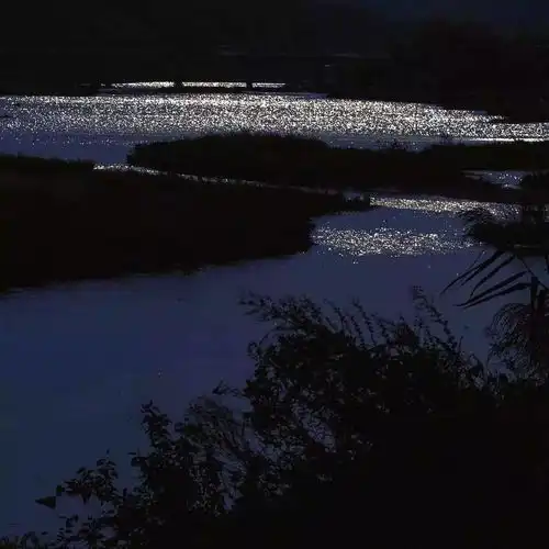 蓝冷系头像尼加拉