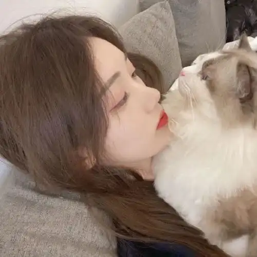 ins抱猫限定头像