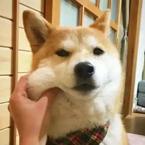 2018级萌新们,大学生活你适应了吗