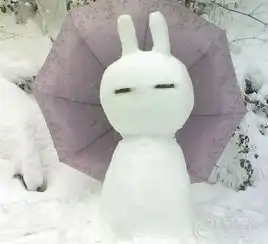 狮跑论坛图片集锦