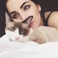 2020高清抱猫女生头像微信头像图片大全
