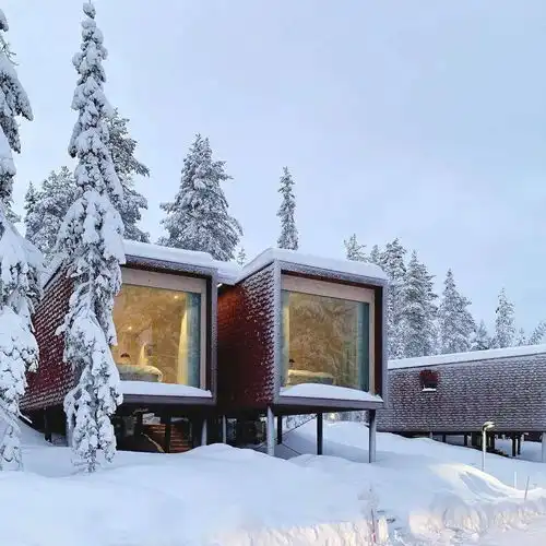 想和狮子座一起用的壁纸头像