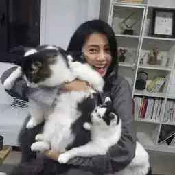 女神猫咪控,范冰冰张馨予撞猫,陈乔恩抱无毛猫