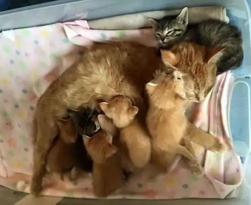 好心人就是多啊