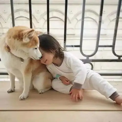 这个爱日系小清新穿搭的小萝莉,和胖柴组成了一对萌翻全世界的cp