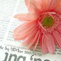 独一无二的花朵头像微信头像图片大全