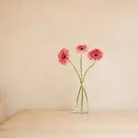 粉红色头像花朵唯美微信头像图片大全