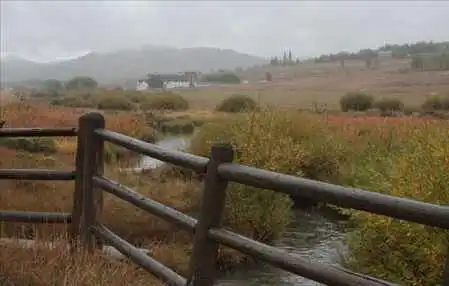 女人味有多吸引男人女人味吸引男人的重要性