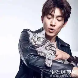 范冰冰六个情侣头像都是李晨逼的,林更新的头像为什么有邓超