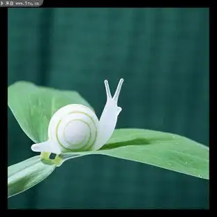 透明蜗牛高清图片