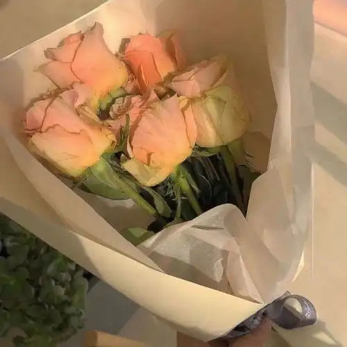 简约治愈系背景图