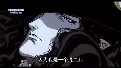 吸血鬼猎人d