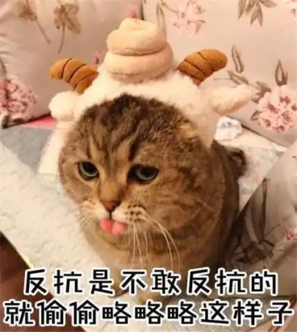 小奶猫自闭了表情包反抗是不敢反抗的,就偷偷略略略这样子