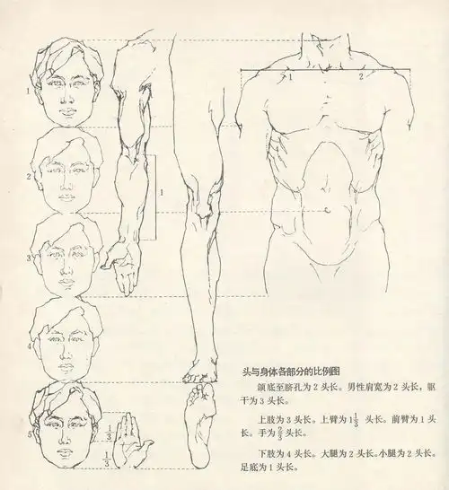 从美学角度分析全职高手男主杨洋的外形完美度...
