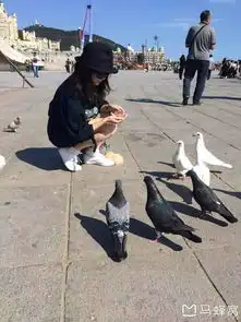 说走就走的旅行之东北游