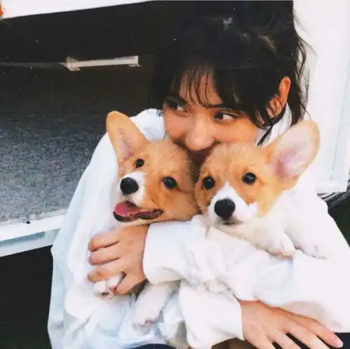 头像很奈斯的小众女头