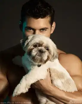 美好肉体配萌宠你能hold住吗