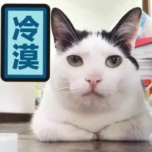 萌系头像一人翻车