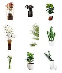 简约清新北欧风绿色植物盆栽叶子免扣png图片素材psd模板下载3.87mb其他大全自然